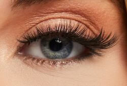 Eye Lash Style Image