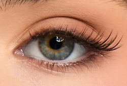 Eye Lash Style Image
