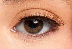 Eye Lash Style Image
