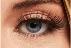Eye Lash Style Image
