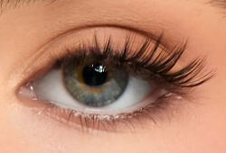 Eye Lash Style Image